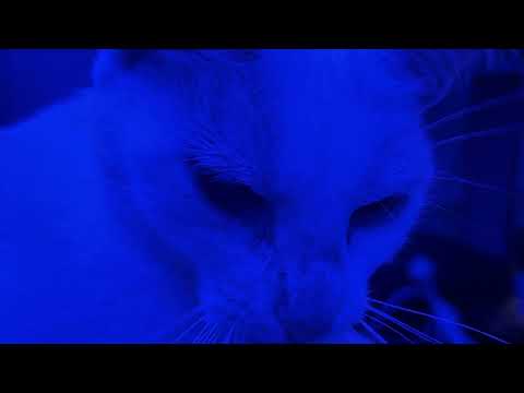 Drum & Bass | Halftime | DNB | UK | Mix | DRS | Dub Phizix