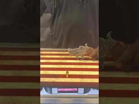 Bond arms 45LC/410 Pistol Review by Black Fang, LLC-Firearms Studio