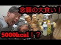 【大食い】一度はやってみたかった!コストコの商品をとにかく食べまくる!