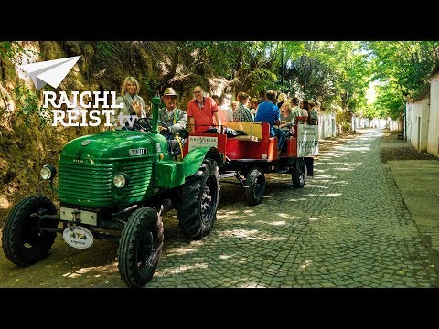 RAJCHL REIST nach Poysdorf: Genuss-Trip ins Wein-Universum