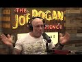 Joe Rogan And Aaron Rodgers Discuss The Age Of Disclosure
