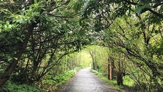 First day South-East Irish trip