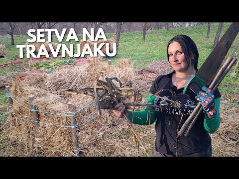 Sowing On The LAWN - Seed Chambers For CARROT and TOMATO