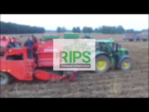 KARTOFFELERNTE 2017 | LU MICHAEL RIPS | YouAgrar