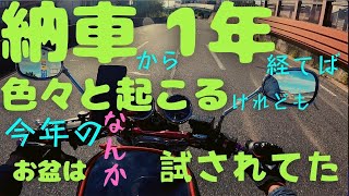 【帰省】三度目ともなると企画が思いつかなかったので【雑談】