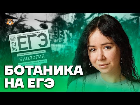 Вся ботаника для ЕГЭ | Биология ЕГЭ 2023 | Умскул