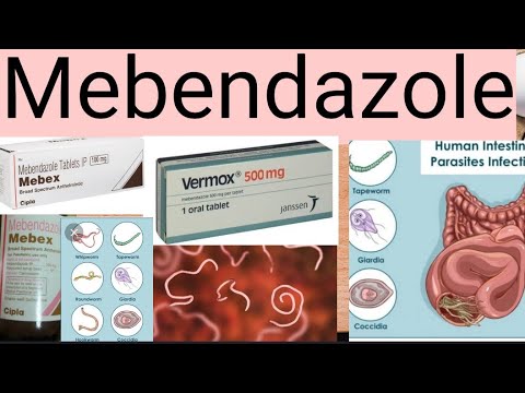 100 mg mebendazole tablets
