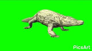 Download lagu Green screen crocodile video // crocodile green screen VFX video mp3