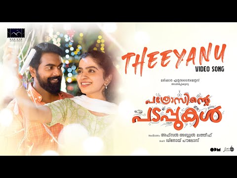 Theeyanu Video Song