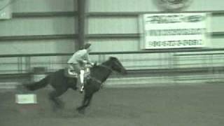 preview picture of video 'Sadie  open barrels, Mason, TN 1-1-09'
