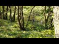 Testing new skin-on-frame kayak and Greenland paddle