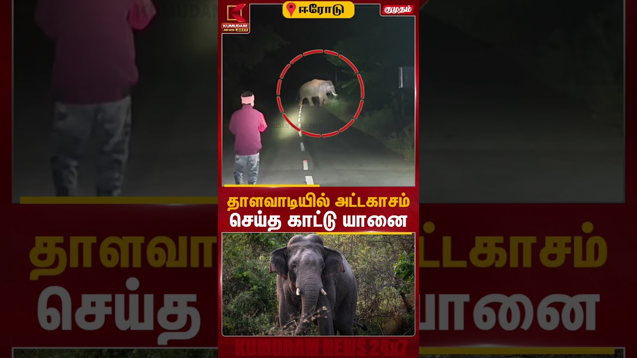 பயிர்களை சேதப்படுத்திய காட்டு யானை.. விரட்டி அடித்த வனத்துறையினர் | Erode Elephant | Kumudam News பயிர்களை சேதப்படுத்திய காட்டு யானை.. விரட்டி அடித்த வனத்துறையினர் | Erode Elephant | Kumudam News
