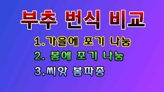 [텃밭농부 1,840]  부추의 포기나눔과 씨앗 파종의 현재상태 비교. #부추재배
