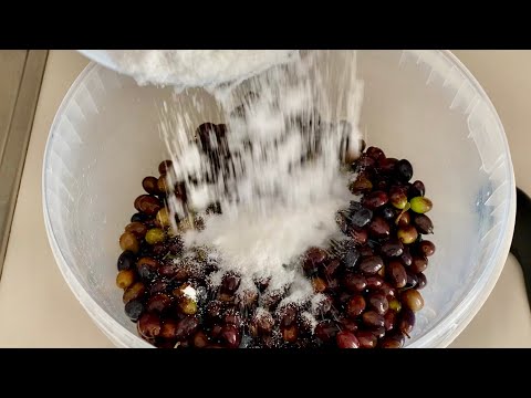 OLIVE NERE in SALAMOIA fatte in casa - Come conservare le Olive ricetta casalinga