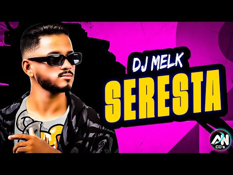 SERESTA AS MAIS TOCADAS 2024 - MELHORES DO TIKTOK 2K24 - SELEÇÃO PRA PAREDÃO - DJ MELK