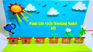 plant life cycle working model(seed germination) | inspire award science project