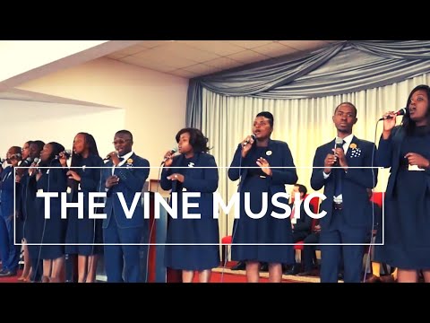 What A Healer | THE VINE