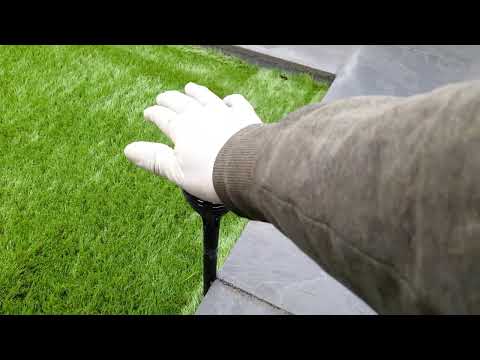 "Revamping Your Garden: A Stunning Transformation Journey!" with Cesar Leyva