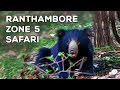 Ranthambore National Park Zone 5 Safari 4K Video Hindi हिन्दी