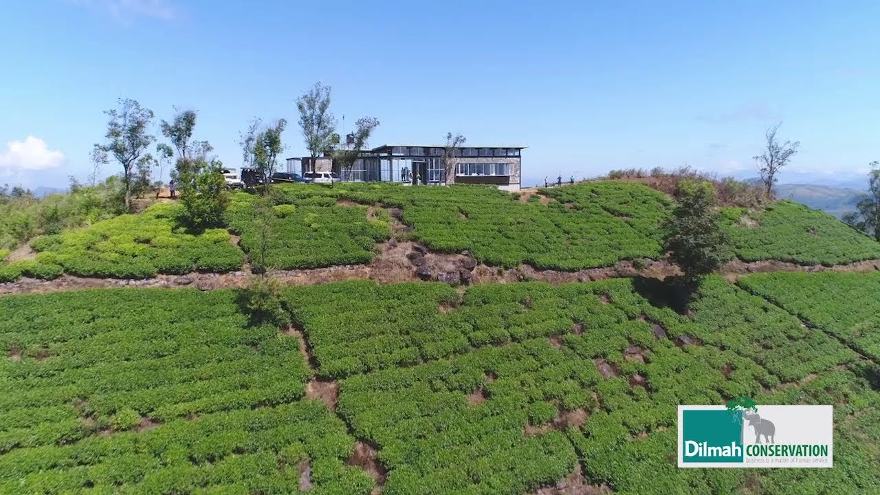 One Year of One Earth Centre - Dilmah Conservation