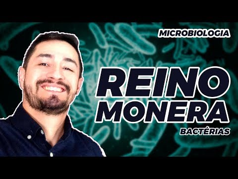 MICROBIOLOGIA - REINO MONERA