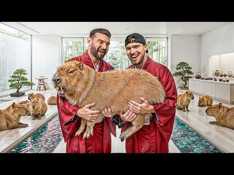 Am Petrecut o zi cu Capybara.. SNIK vrea sa isi cumpere una ?!