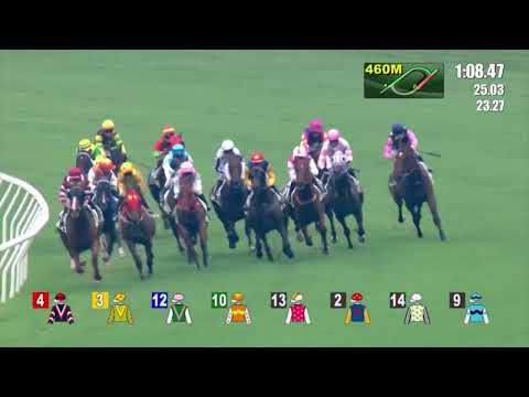 11/9/2022 (1) This Is Charisma - Z Purton (New Season!)