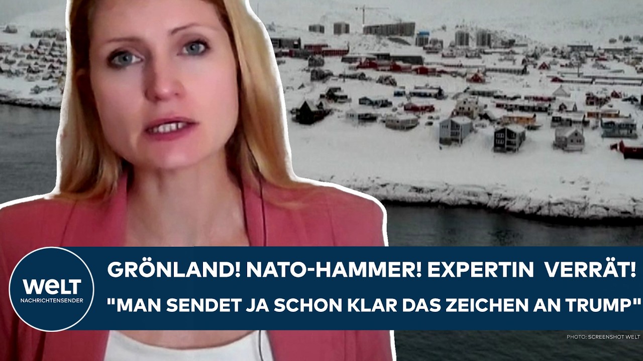 GRÖNLAND: NATO-Hammer! Expertin verrät! "Man sendet ja schon klar das Zeichen an Donald Trump!"