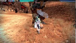 대시스매시로 샤칼죽이기