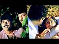 എടി കൂ ച്ചീ ഇവളെ ഞാനിന്ന് Mammootty Lalu Alex Sulakshana D