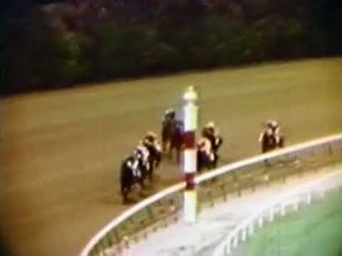 Seattle Slew's second career race