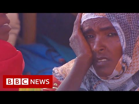 Tigray crisis: Thousands seek refuge on Sudan-Ethiopia border - BBC News