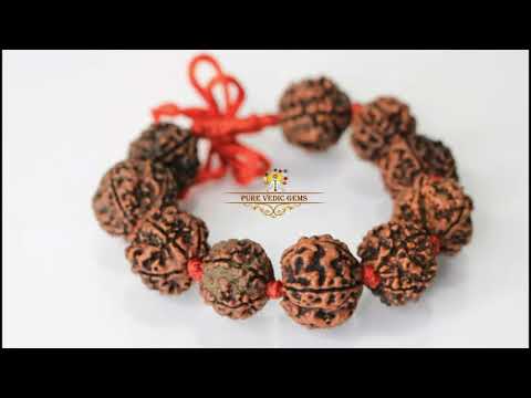 5 Mukhi Rudraksha Bracelet video