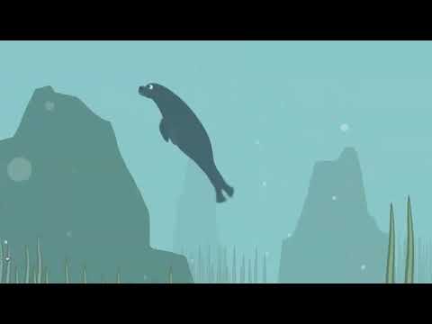 Play YouTube Video
