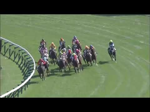 Touching Speech (JPN) wins race 8 at Sapporo 8/8/2015