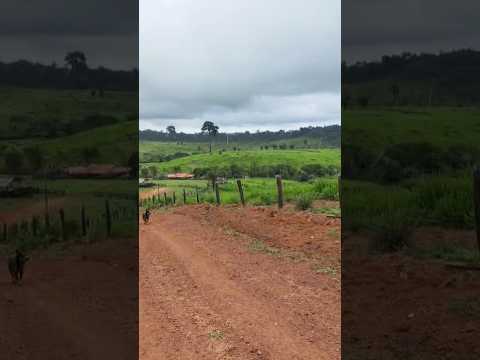 FAZENDA DOCUMENTADA EM PACAJÁ,PÁ