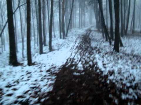 Trenuri Suceava (#044) & Plimbare Selgros - Zamca pe prima zapada