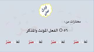 56 & صوت الفعل المؤنث والمذكر image