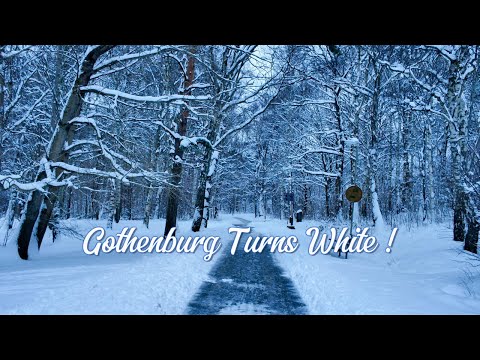 Gothenburg Turns White in Snow