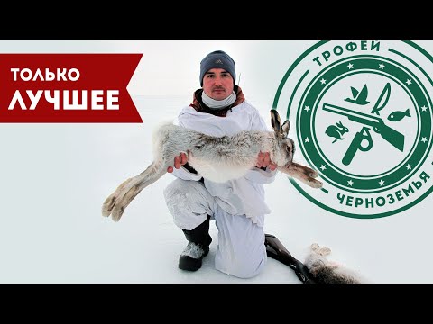 Охота на ЗАЙЦА 2020! Лучшие моменты и меткие выстрелы!