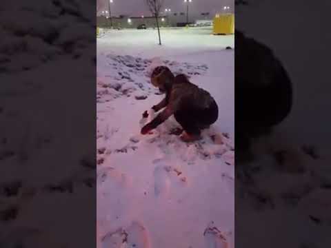 Snow in Saint Cloud Minnesota