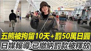 日媒報導「五熊獲釋」開罰50萬日圓！ 翻譯人員疑「提前洩露判決」？｜三立新聞網 SETN.com