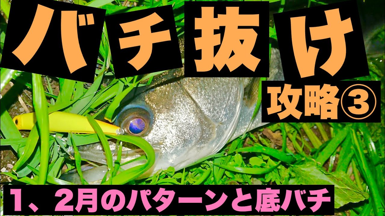 【この潮回りで】バチ抜け攻略③　底バチとは？1､2月の攻め方【本格化】
