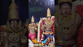 Download lagu ஸ்ரீ கோதண்டராமர் ஸ்வாமி திருக்கோயில் வடுவூர். ஸ்ரீ ராமநவமி ப்ரும்மோத்ஸவம் சூர்ணாபிஷேகம் mp3