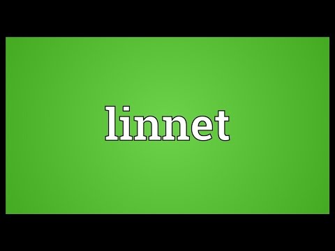 Linnet Meaning