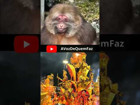 🎭 TODOS OS ABRE-ALAS DO ANHEMBI | Carnaval de São Paulo 2026 #carnavalsp