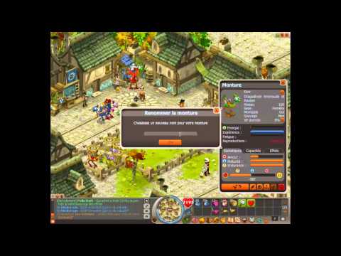 comment faire des bb dd dofus