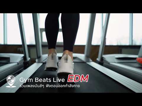รวมเพลงออกกำลังกายมันส์ๆ 2025 | Gym Beats - Ep.95