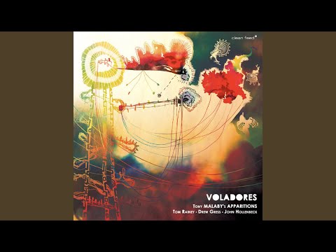 Homogeneous Emotions