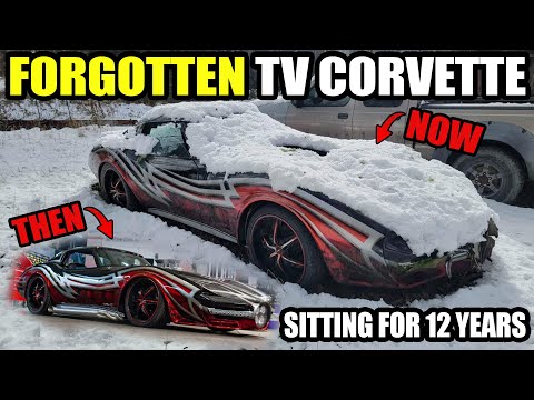 Forgotten 1976 Corvette! Will It Run Again? We Bought 'Car Warriors' Abandoned SkullClops Corvette!